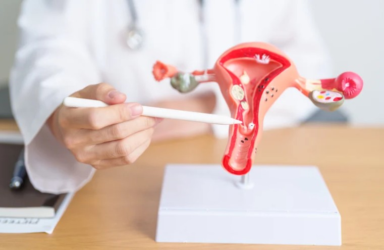 Female Infertility Treatment